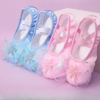Прекрасные танцевальные туфли принцессы Для детей и девочек, Балетные туфли на мягкой подошве, китайские танцевальные упражнения для тела, Специальные туфли с кошачьими когтями 1